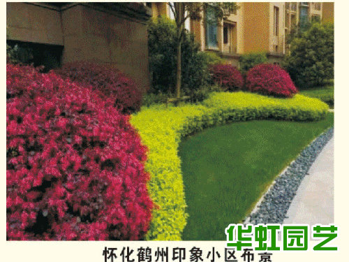 鶴州印象綠化工程